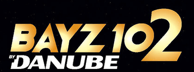 bay102 danube logo